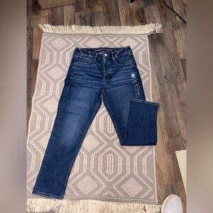 American Eagle Outfitters Dark Blue Skinny Jeans